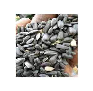 优质散装天然纯农产品葵花籽 | 尼日利亚产地农产品供应商