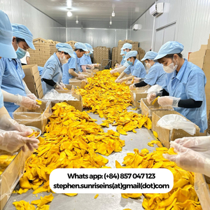 2024 High Quality Soft Dried Mango Slices Vietnam Bulk Vacuum <b>Pack</b> Water Preserved Sweet Taste Export WA Stephen 84857047123 - Product Image 3