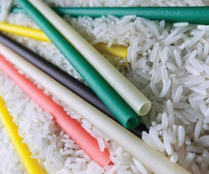 Ustensiles à boire en paille de riz de haute qualité biodégradables | Alternative en plastique 100% naturelle biodégradable écologique et sûre - Product Image 5