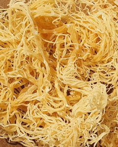 Algues marines de haute qualité, superaliment, étiquette propre, pour la santé immunitaire et le soutien de la détoxification - Product Image 1