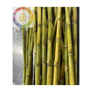 Caña de azúcar congelada al mejor precio de Vietnam, 100 por ciento natural, jugosa y fresca, ideal para bares de batidos y fábricas de jugos - Product Image 2