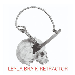Juego de instrumentos de Neurocirugía Manual de acero inoxidable Leyla Retractor cerebral completo con brazos flexibles y Retractor Yasargil - Product Image 5
