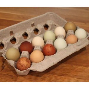 ไข่ทรงโต๊ะในฟาร์มไข่ไก่สัตว์ปีกสีน้ำตาลและสีขาวสด - Product Image 1
