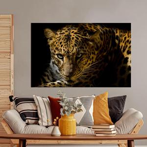Tableau sur toile imprimé léopard : Décoration animaux sauvages, motif imprimé, toile encadrée - Product Image 1