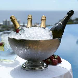 Seau à glace en aluminium pour bois de cerf et champagne pour bar et fête Accessoires décoratifs Fournitures de fournisseur indien - Product Image 6
