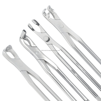 Forceps d'extraction des incisives pour chiens et chevaux, en acier inoxydable, instrument chirurgical de dentisterie pour animaux de grande taille, réutilisable, DEBONAIRII