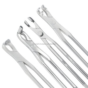 Fórceps de Extracción de Incisivos Equinos Veterinarios de Acero Inoxidable, Herramienta de Odontología para Animales Grandes para Uso en Hospitales y Clínicas POR DEBONAIRII - Product Image 2