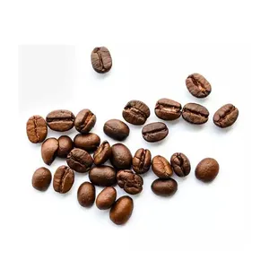 Chicchi di caffè di qualità Premium all'ingrosso chicchi di caffè verde Arabica e chicchi di caffè africani