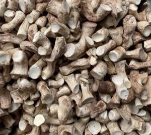 Produits de confiance, champignons Shiitake de haute qualité, pieds de champignons, à prix compétitif, Delta du Vietnam - Product Image 2