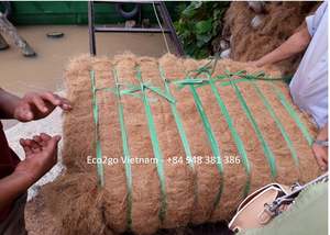 Noix de coco au Vietnam 100% Fiber de noix de coco de haute qualité/exportation de Fiber de noix de coco par Eco2go Vietnam - Product Image 6