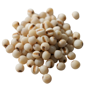 Coix เมล็ดงานน้ำตาจากเวียดนาม12เดือนการเก็บรักษาแบรนด์ OEM สำหรับอาหารเพื่อสุขภาพผลิตภัณฑ์ทางการเกษตรสินค้าส่งออก - Product Image 1