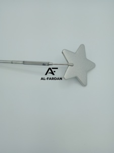 Haute qualité argent miroir polonais en forme d'étoile pointe arrondie poignée pince à épiler personnalisé marque privée cils en acier inoxydable - Product Image 4