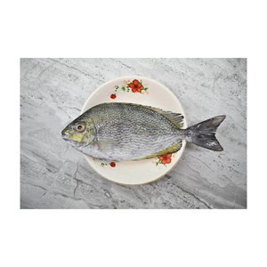 Pescado de conejo congelado al por mayor, suministrado a grandes compradores y redes minoristas - Product Image 4