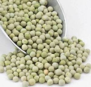 Petits pois verts entiers séchés en vrac, meilleure qualité, certifiés export, origine Ukraine, durée de conservation 2 ans, humidité max. 14%, matière grasse max. 2%, à vendre - Product Image 2