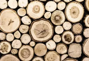 Construcción de madera a granel de alta calidad, venta al por mayor, para madera serrada