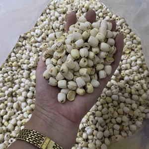 เมล็ดบัวอบแห้งจากเวียดนามเกรดพรีเมี่ยมสำหรับการส่งออกในราคาไม่แพง - Product Image 5