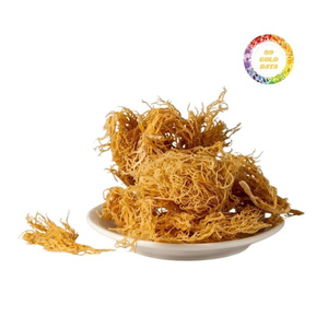 Seamoss de sargazo orgánico de alta calidad a precio barato de Vietnam, ideal para la extracción de alginato, precio al por mayor a granel garantizado - Product Image 4