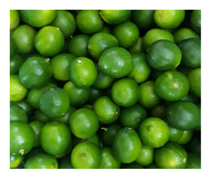 Lima fresca de alta calidad Vietnam 100% Natural sin semillas Juicy Fresh Lime Ofertas a granel Listo para enviar a los mercados de exportación Ahora a la venta - Product Image 6