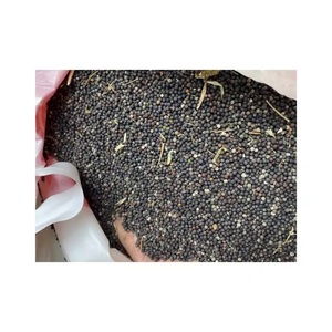 Tourteau de colza/tourteau de canola de qualité supérieure avec 60-65% de protéines pour l'alimentation des chevaux et des poissons - Product Image 5