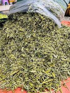 Planta Herbaria Tradicional de Vietnam Clinacanthus Nutans / Hierba de Hierba de Serpiente Seca al por Mayor - Product Image 2