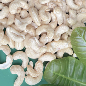 Vente en gros de noix de cajou cassées de haute qualité noix de cajou noix de cajou du Vietnam Lp Sw exportées vers l'Asie, l'UE, le Moyen-Orient - Product Image 1