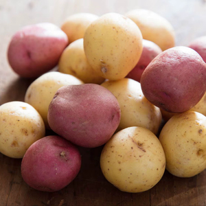 Solanum Tuberosum First Grade (<b>Fresh</b> Potato) with Low Price Hot Deal <b>Fresh</b> Potato For Sale - Product Image 1