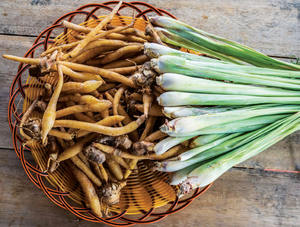 Ingrédient naturel de racine de Krachai pour la transformation alimentaire, les restaurants et la production de sauces - Product Image 3