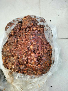 High Quality Sour Tamarind with <b>Seed</b> <b>Packing</b> 16 oz (454g) Export Grade From Vietnam at Best Price - Product Image 3
