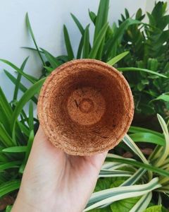 Eco2go Vietnam Moisture-Retaining Tree Mat Coconut Fiber for Potted Plants and <b>Planters</b> - Product Image 5