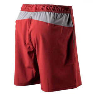 Shorts de gymnastique en polyester pour hommes en gros Design de mode personnalisé avec fermeture à la taille élastique Prix d'usine bon marché - Product Image 2