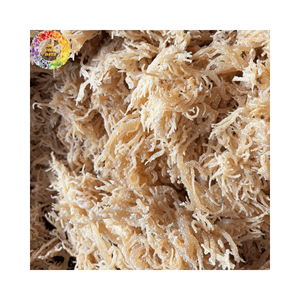 Musgo de mar púrpura seco natural, alga irlandesa de musgo sin sal, Chondrus Crispus salvaje, sargazo, 25kg a granel - Product Image 4