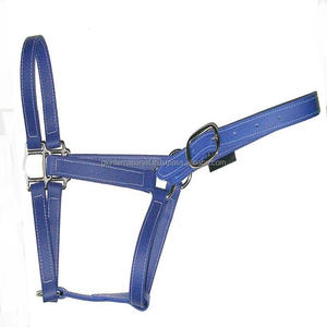 Licou de cheval en cuir véritable à finition bleue, licou de cheval en cuir épais à double couture avec raccords réglables, nouvelle collection 2023 - Product Image 6