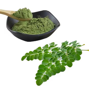 Poudre de feuilles de Moringa oleifera de qualité alimentaire organique de haute pureté Soluble dans l'eau Extrait de plantes en vrac Vente en gros de source végétale - Product Image 2