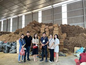 น้ำมันหอมระเหยกลิ่นหวานรสเผ็ด8ซม. สำหรับตกแต่งโต๊ะทำอาหาร WS + 84 865216698 - Product Image 2