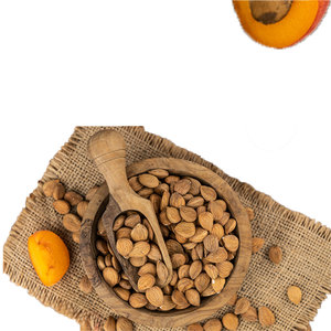 Noyaux d'abricot | Type amer de haute qualité pour la production d'huile cosmétique - Product Image 6