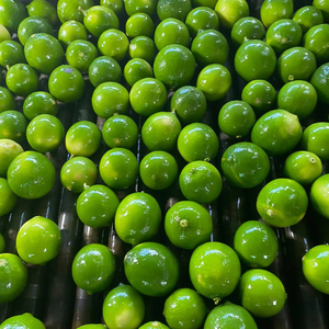 Techmifood, exportador confiable de limones vietnamitas sin semillas - Product Image 1