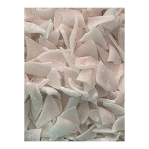 Carne de Coco Liofilizada de Alta Calidad, Nutritiva, 100% Natural, Mejor Precio de Fábrica - Product Image 1