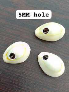 Conchas de mar de cauri crudas y pulidas Tamaños personalizados para pedidos globales Conchas de cauri ecológicas Abastecimiento sostenible para artesanos - Product Image 2