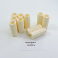 Piston en céramique durable, pompe générale, Interpump, remplacement du plongeur en céramique, 15 mm