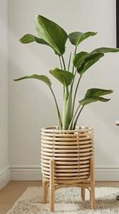 Jardinières en filet de rotin en fer faites à la main Design personnalisé Pots de fleurs d'intérieur et d'extérieur Jardinière à noyau décoratif - Product Image 5