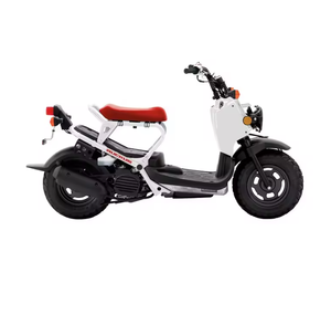 Motocyclette Ruckus 2020 250cc 61-80 km/h 1001-2000W - Product Image 1