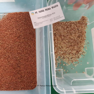 Trieur de couleur multifonction de haute qualité HCS-2E 1.5 tonnes/heure pour trier le maïs de noix de muscade de café de riz - Product Image 6