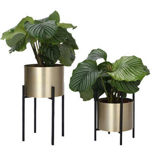 Jardinière en métal galvanisé de qualité supérieure, conçue pour une utilisation décorative en intérieur et en extérieur, offrant une qualité durable et résistante à la rouille. - Product Image 1