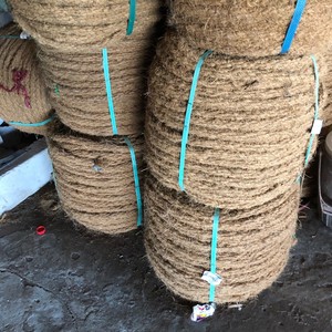 Cuerda de Fibra de Coco de Vietnam al Mejor Precio / Hilo de Fibra de Coco de Alta Calidad / Sra. Shyn - Product Image 1