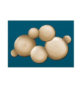 Colgadores redondos de hierro multicolor para pared, decoración de pared de Metal, buen diseño, para sala de estar, precio asequible - Product Image 5