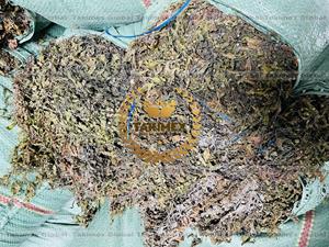 Algues marines séchées brutes pour l'alimentation animale - Fabricant d'algues marines du Vietnam - Product Image 6