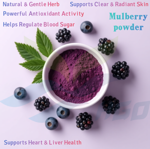 HGO Factory Fourniture directe de poudre de mûrier naturelle pure (qualité alimentaire) Spécification de poudre de fruit (poudre de fruits ou de légumes) - Product Image 5