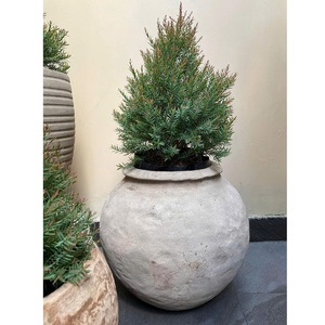 Flor de cerámica antigua ecológica moderna/maceta para jardinería doméstica ODM Etiqueta Privada disponible decoraciones al por mayor - Product Image 2