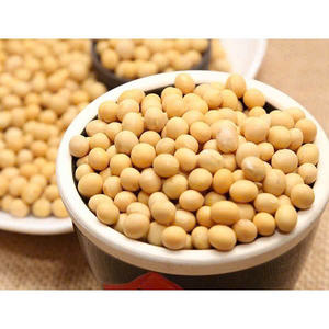ถั่วลิสงอบรสเผ็ดกระเทียมจากโรงงานโดยตรง รับผลิตแบบ OEM ODM ขายส่งจำนวนมากสำหรับผู้ซื้อทั่วโลก - Product Image 2
