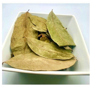 Feuilles de corossol séchées du Vietnam en grandes quantités - Product Image 1